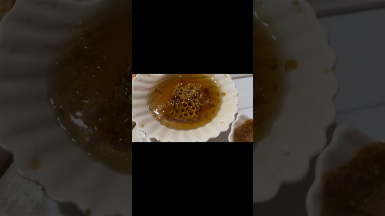 ثاني يوم لينا ف شتوكة