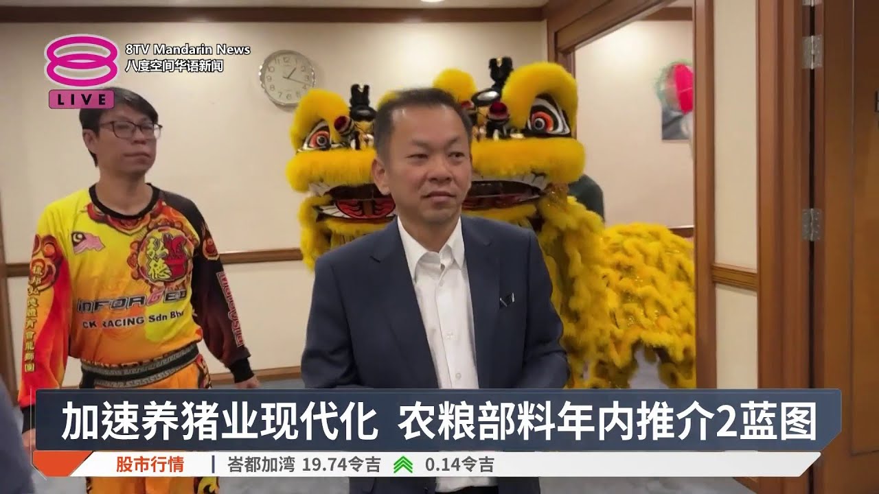 加速养猪业现代化 农粮部料年内推介2蓝图【2026.02.13 八度空间华语新闻】