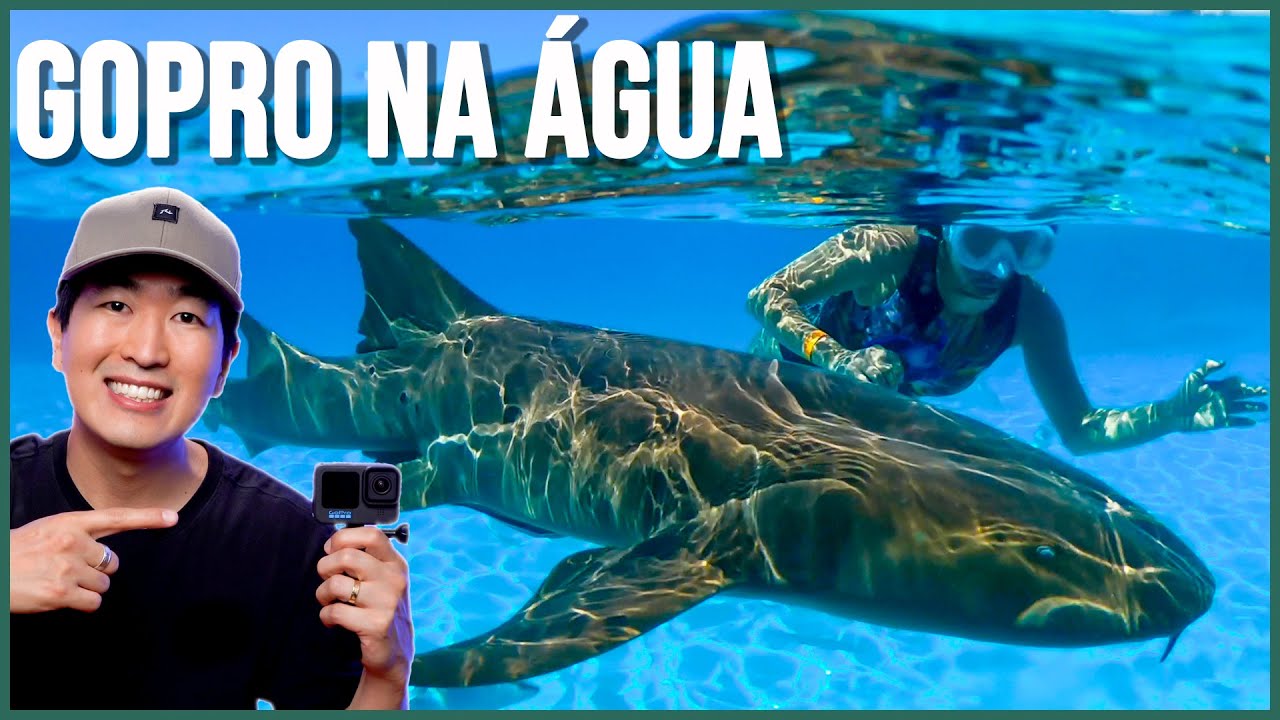 Como usar a GoPro na água? Grave melhor, aprenda a configurar e dicas de acessórios