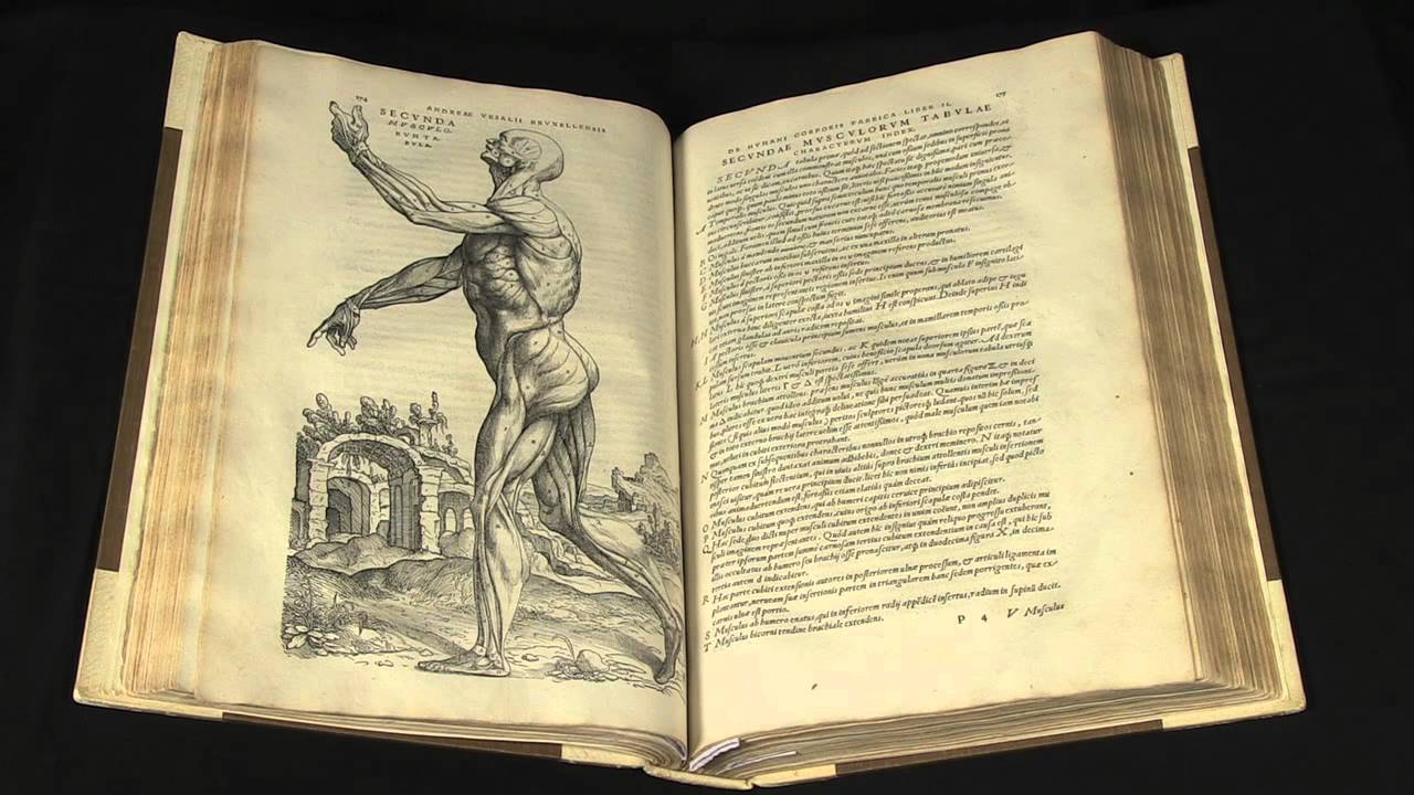 On the Workings of the Human Body (de Humani corporis fabrica) by Andreae Vesalii