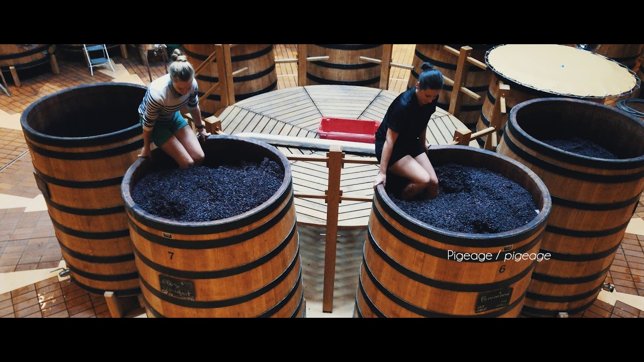 Maison Louis Jadot - výroba červených vín