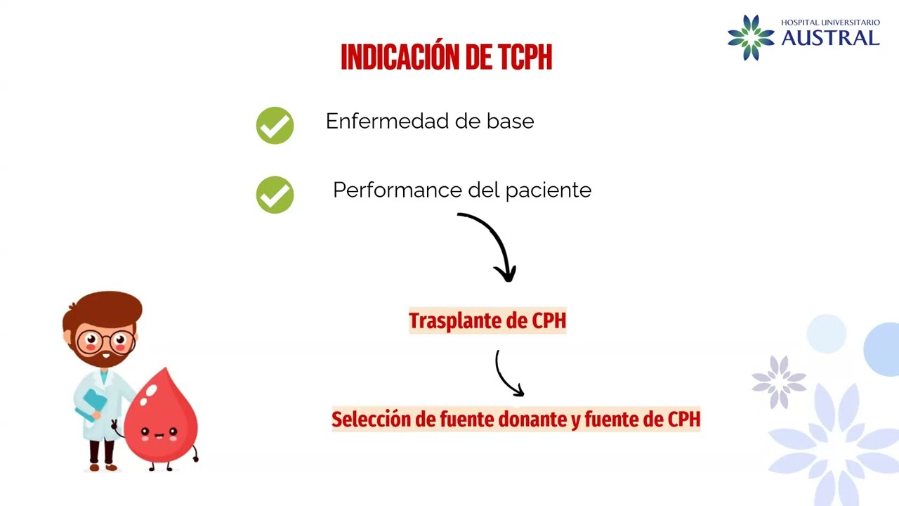 ¿De qué hablamos cuando hablamos de trasplante de Médula Ósea?