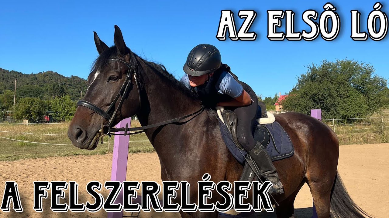 Az első ló - Milyen felszerelések szükségesek?