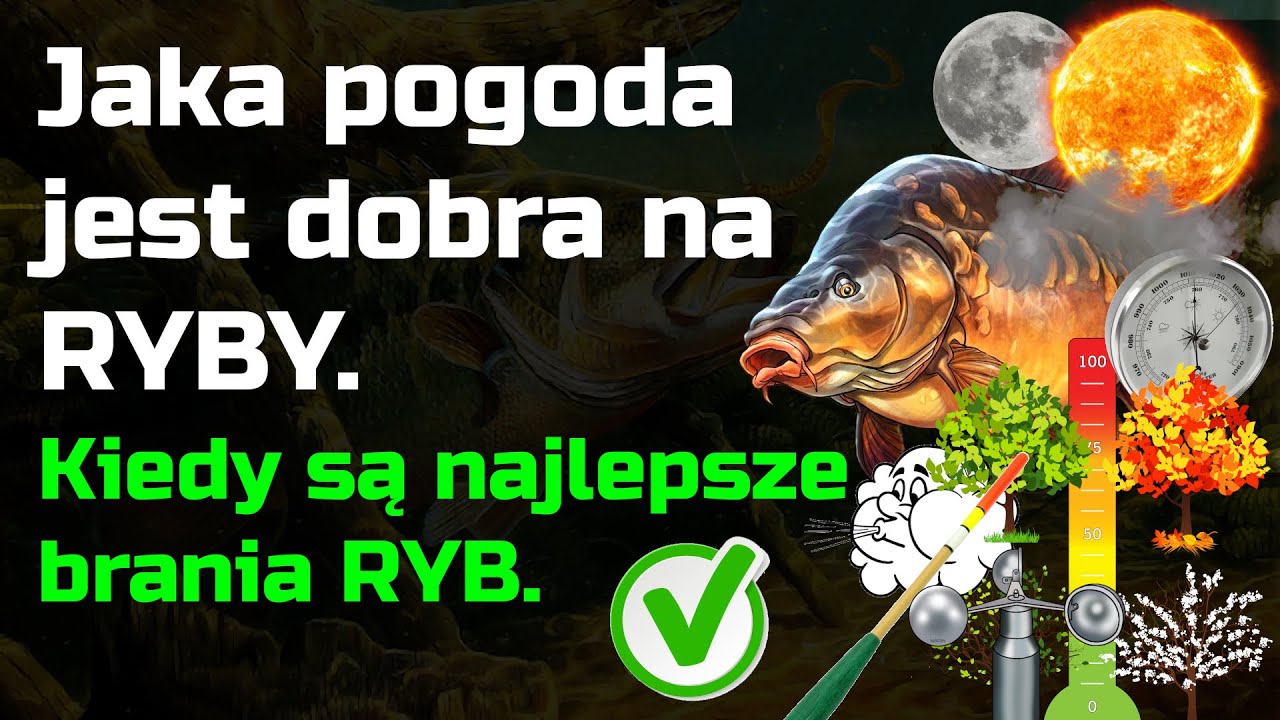 Jaka pogoda jest dobra na RYBY - Kiedy najlepsze brania ryb