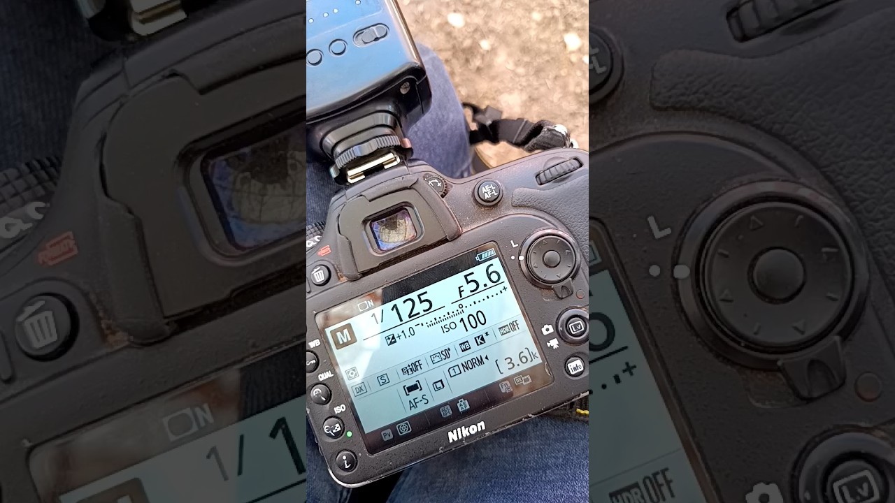 Nikon 7200d white balance setting  Nikon 7200d white balance #setting # Nikon #7200d #shorts #camera