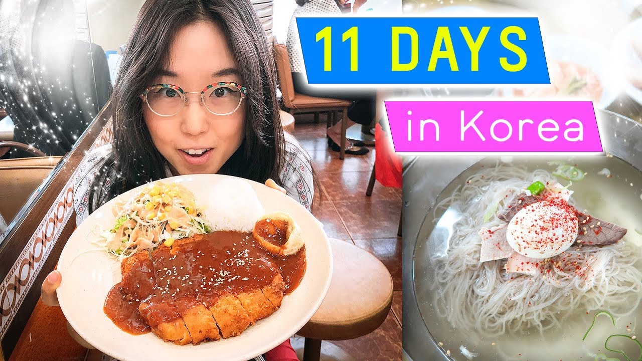 11 DAYS IN KOREA 🤤 ft. Donkkaseu & BTS Footage