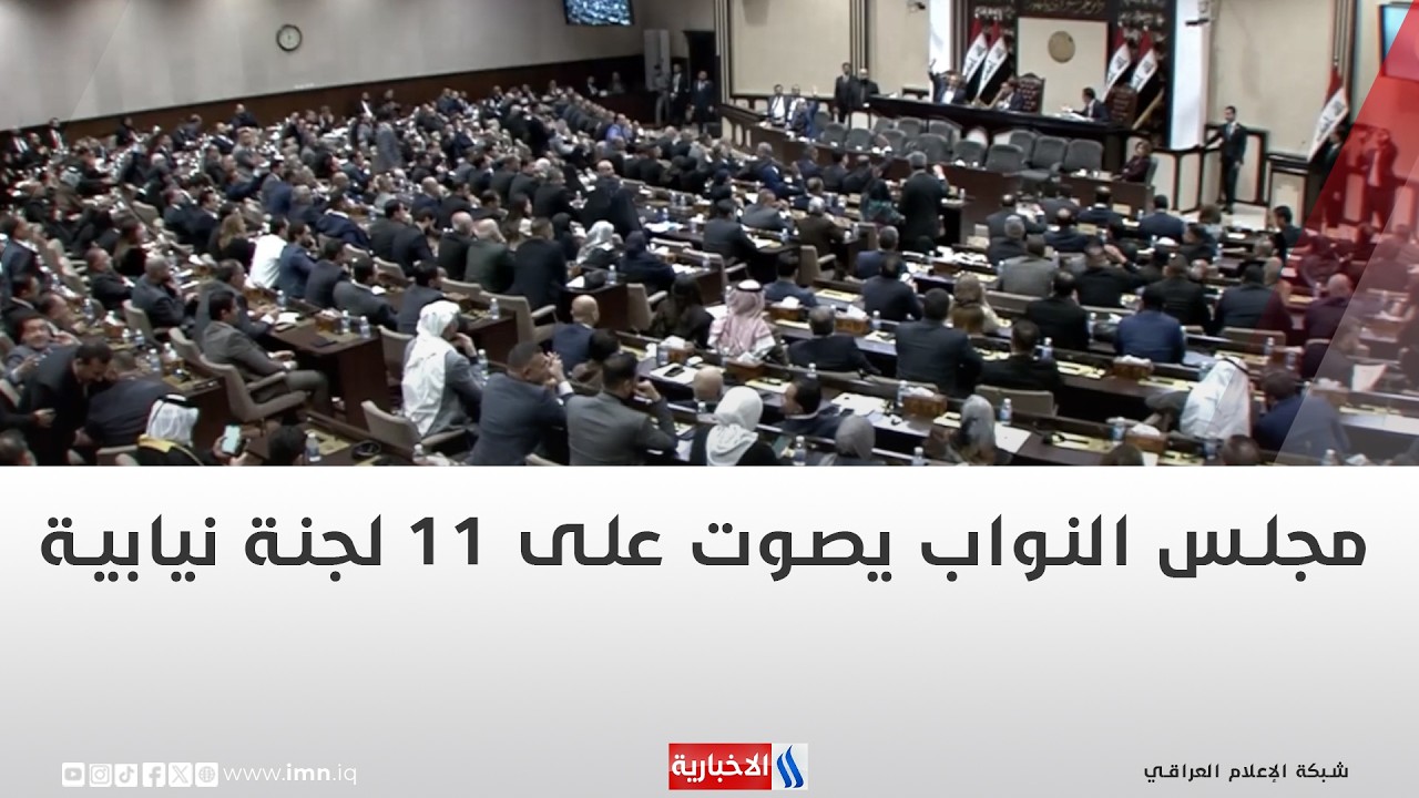 مجلس النواب يصوت على 11 لجنة نيابية | تقرير شروق الغانم