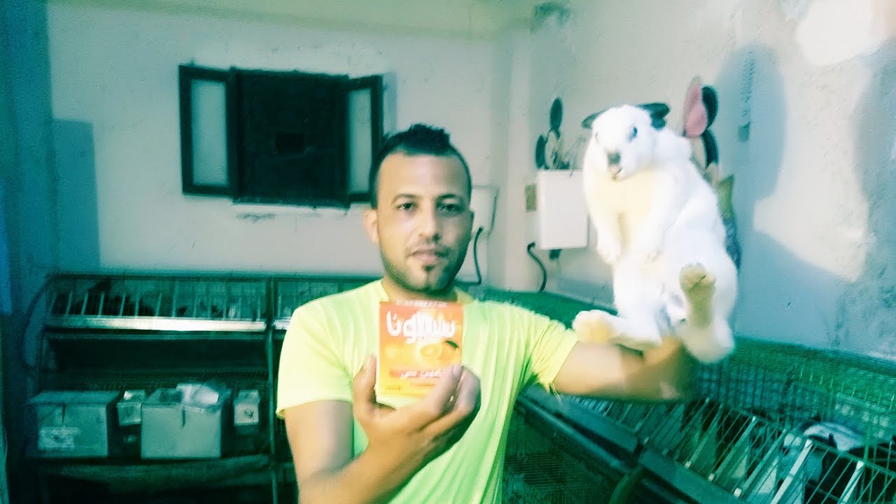 دواء بشرى للارنب قنبله ڤيتامين سى +فيتامين أ+ه‍  الزنك +السيلينيوم+الماغنسيوم