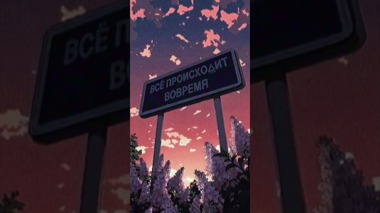 Вовремя…