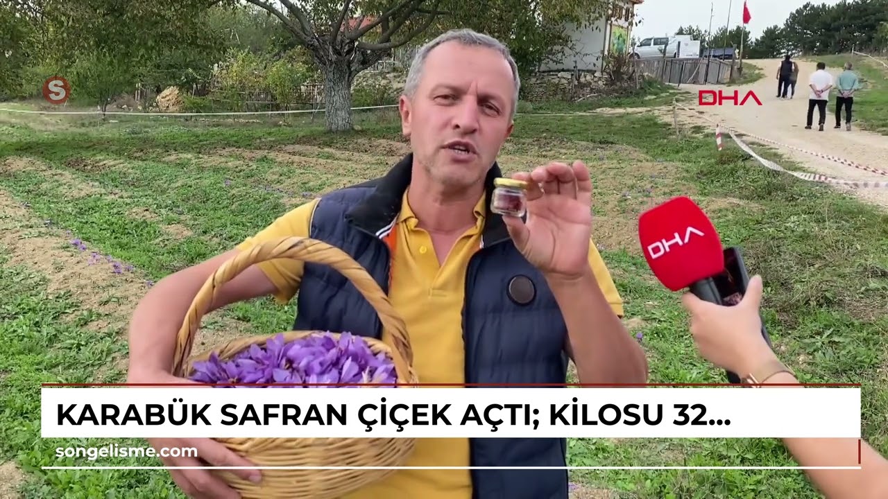 KARABÜK Safran çiçek açtı; kilosu 320 bin lira