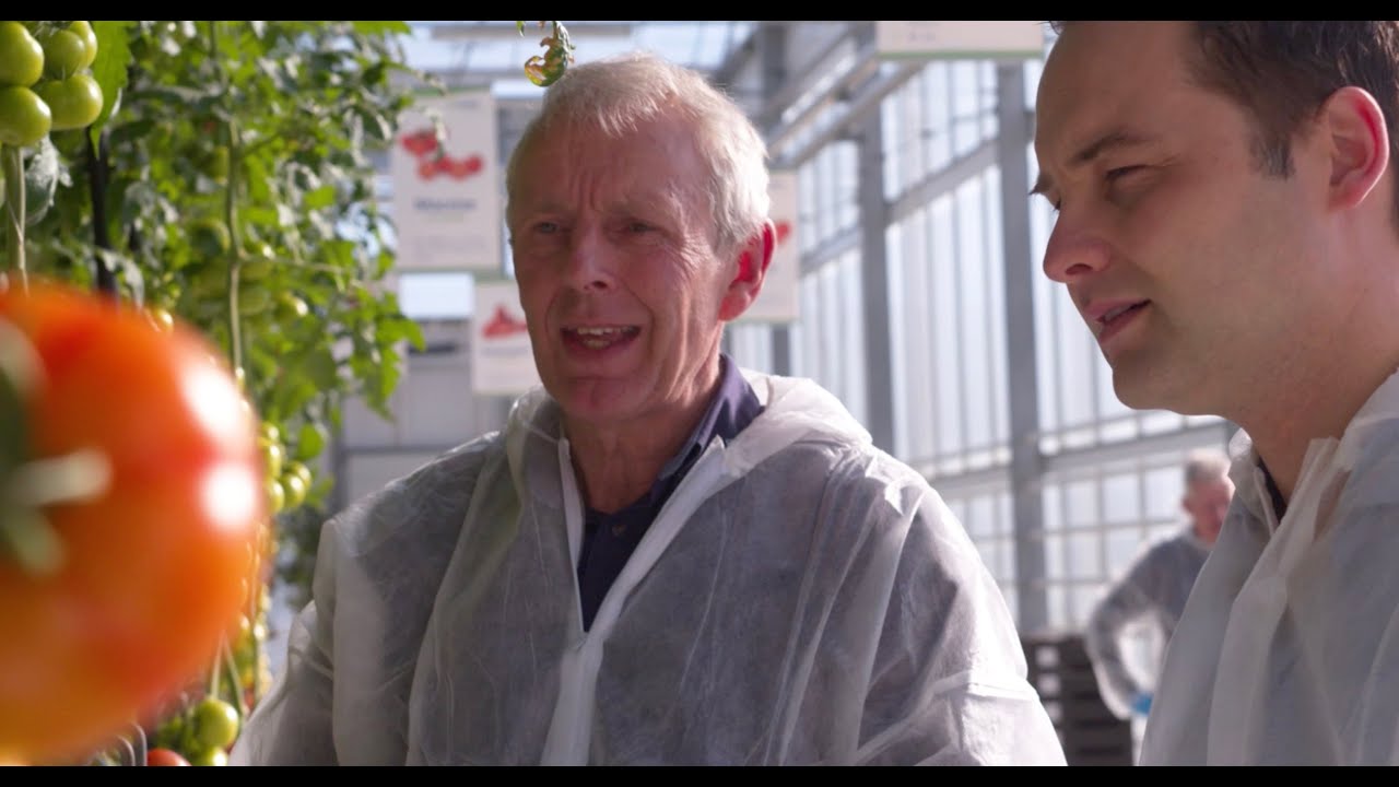 Valto biocontrol - company film