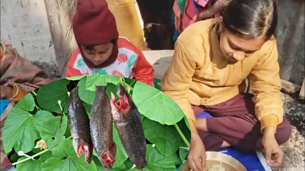 লাউ পাতা দিয়ে কৈ মাছ সিদ্ধ  #subscribe #natureyoutubeshorts #comedy #funny #vlog  