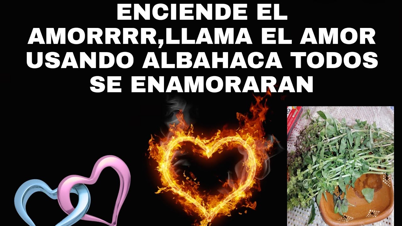 ENCIENDE EL AMORRRR, LLAMA EL AMOR USANDO ALBAHACA TODOS SE ENAMORARAN DE TI