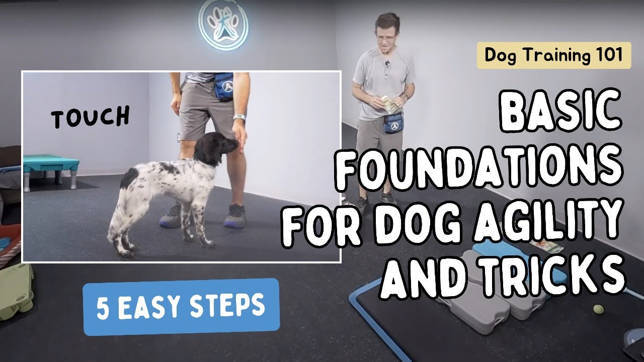 The Ultimate Guide to Dog Training - Week 1