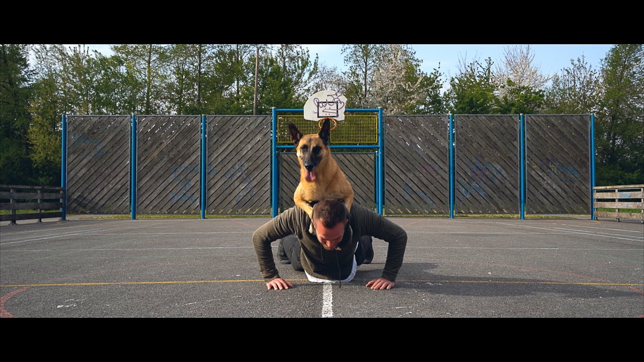 20 POMPES AVEC SON CHIEN