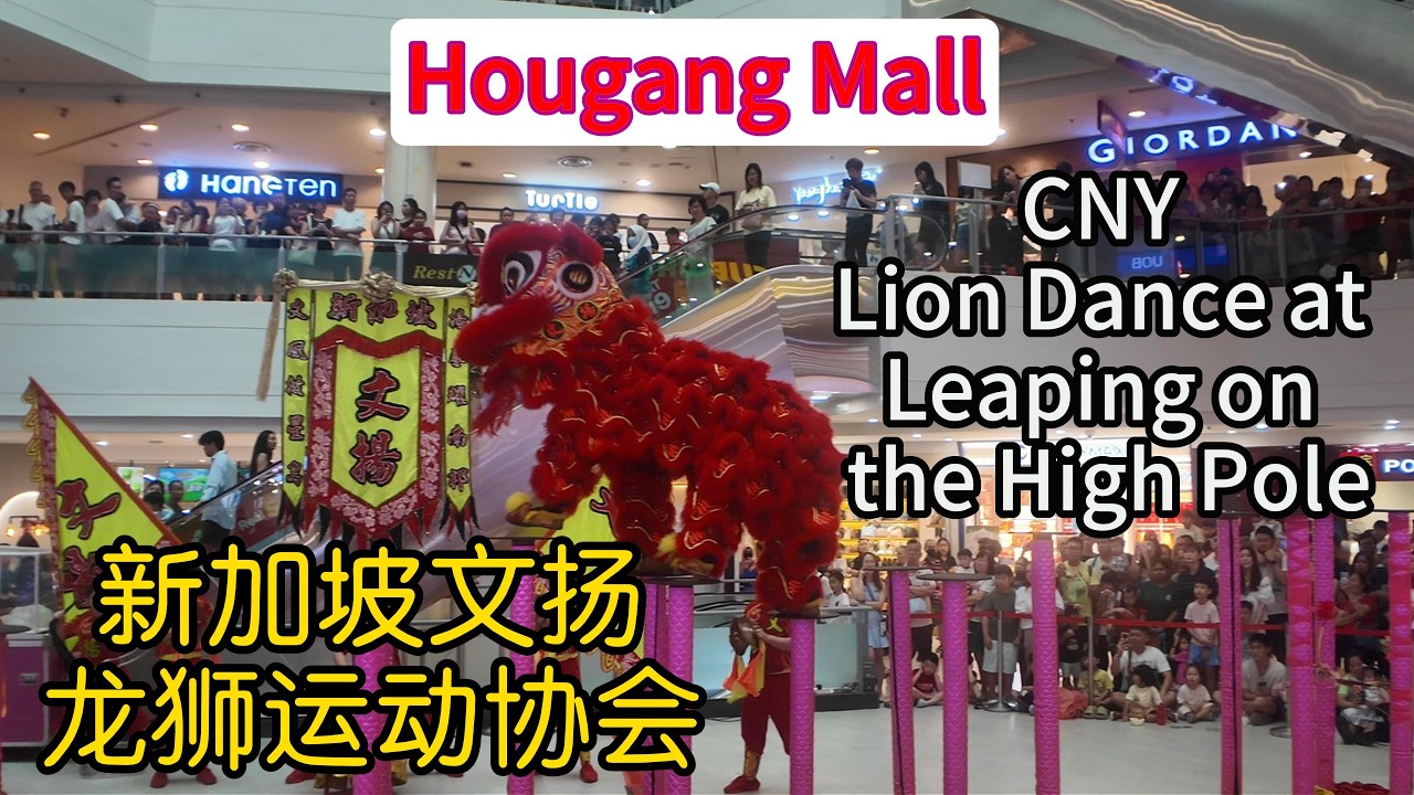 CNY Lion Dance Leaping on High Pole at Hougang Mall By 新加坡文扬龙狮运动协会 2月26日