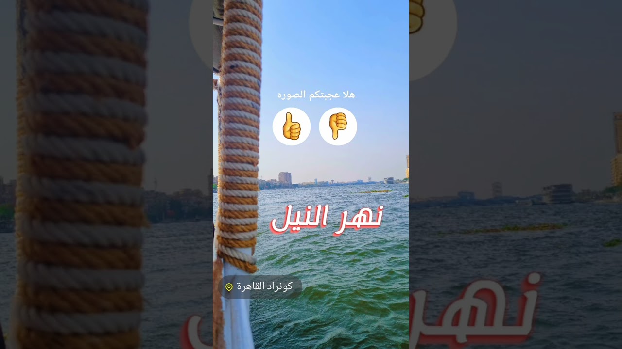 رحلة النحال الإماراتي إلى مصر الجميلة