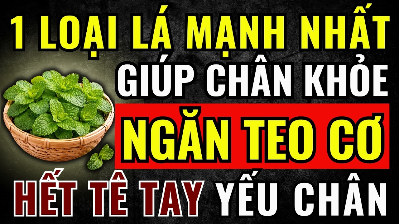 Người Cao Tuổi: Chỉ 1 LOẠI LÁ “Thần Dược”  Này - Hết TEO CƠ, Hết TÊ TAY, CHÂN KHỎE Đến 90!