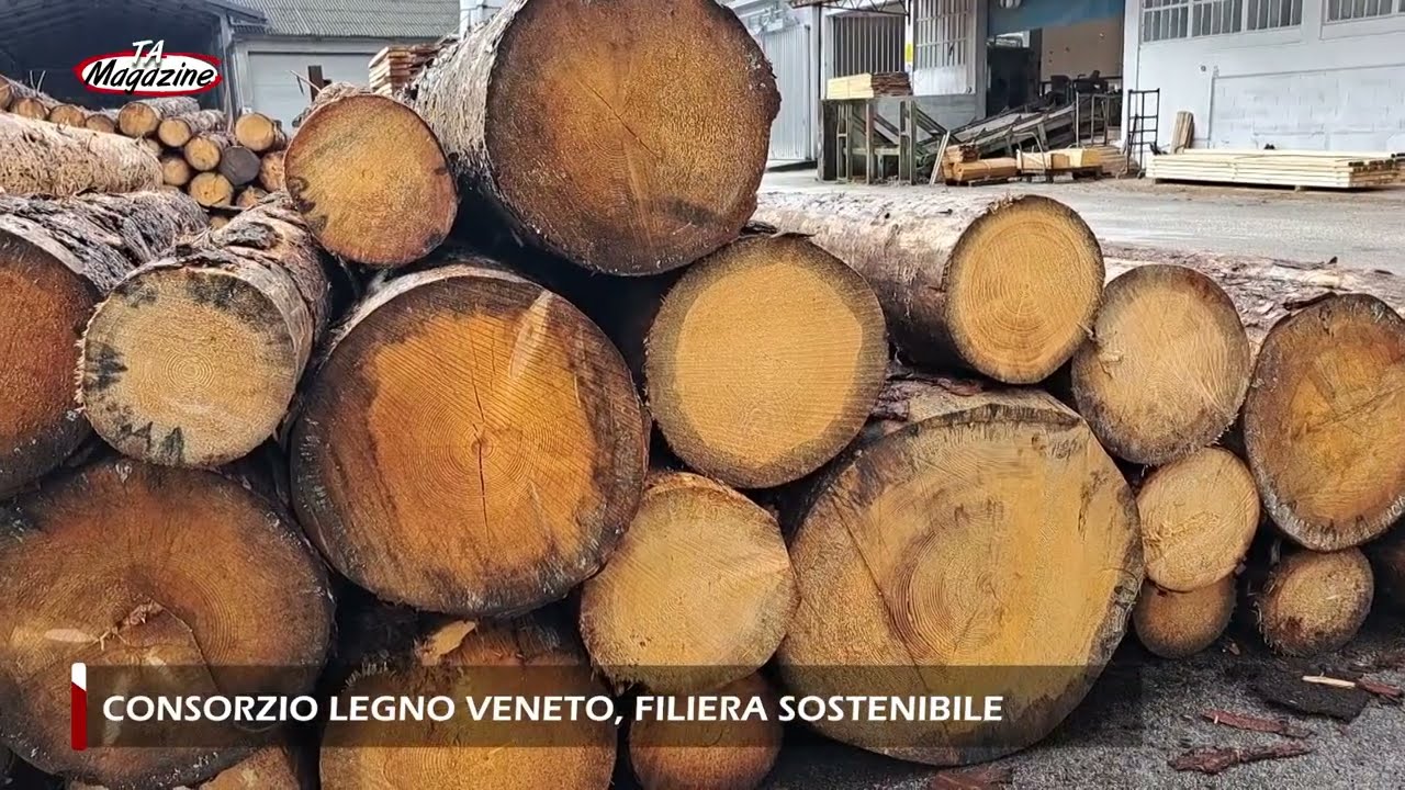 Consorzio Legno Veneto, filiera sostenibile