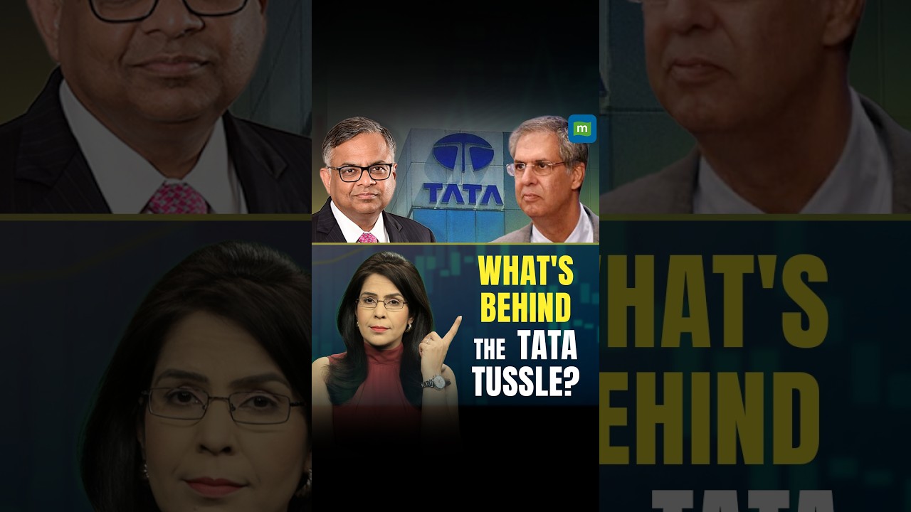 TATA Sons Shorts 1809