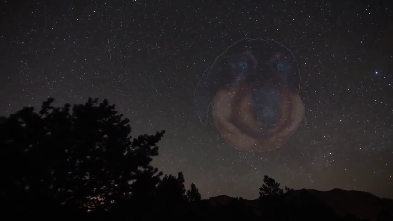 DAWG И POOT БОЛТАЮТ О ЖИЗНИ И ТЯНОЧКАХ