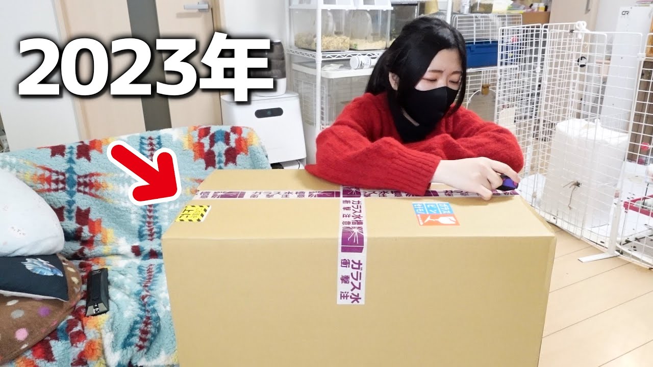 会社員と100匹の新年1発目のお買い物はこちらですｗ