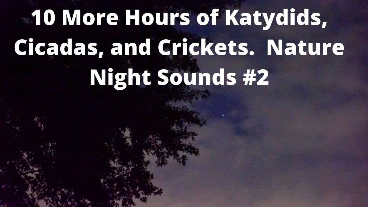 10 More Hours of Katydids Cicadas Crickets Sleep Study Relax Nature Video Nature Night Sounds #2