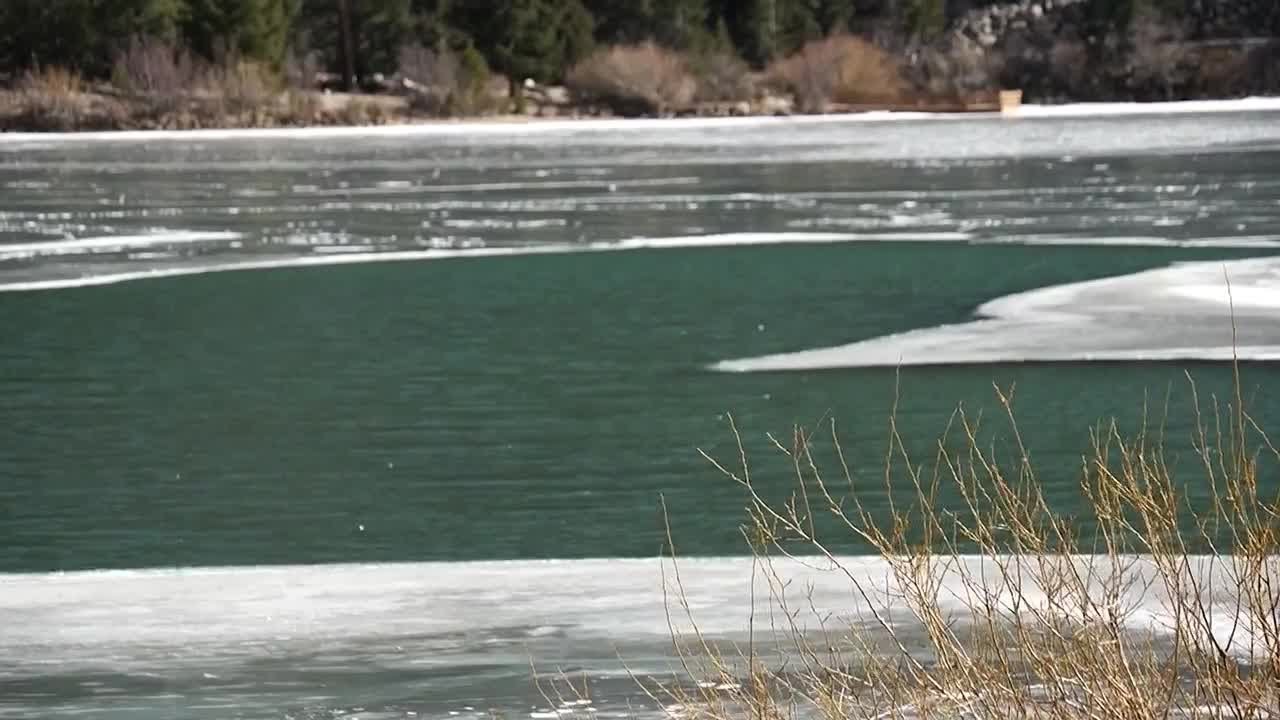 Weathering the warm winter, here's how Georgetown is handling the lack of snow and little ice