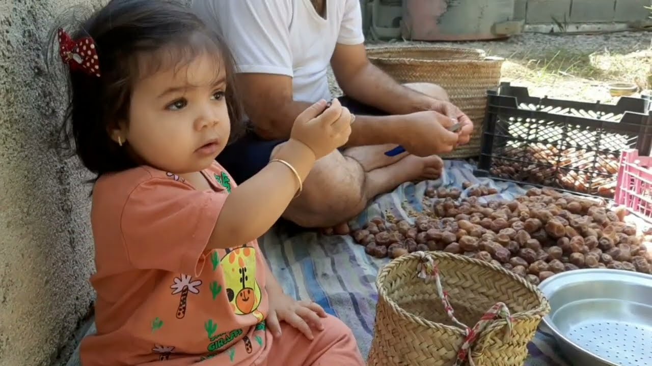 Jaafar’s Rural Life Revealed | Date Harvest + Preparing the Land for Winter Greens Planting