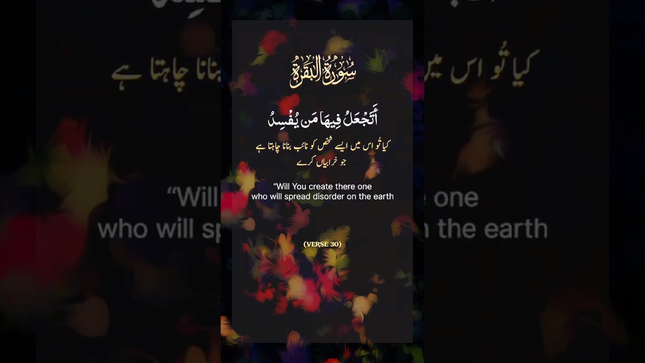 #viralvideo #quranverses #quranfordepression #quranforall