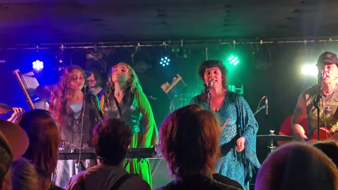 Faun Fables feat. Sleepytime Gorilla Museum - Carousel With Madonnas - live