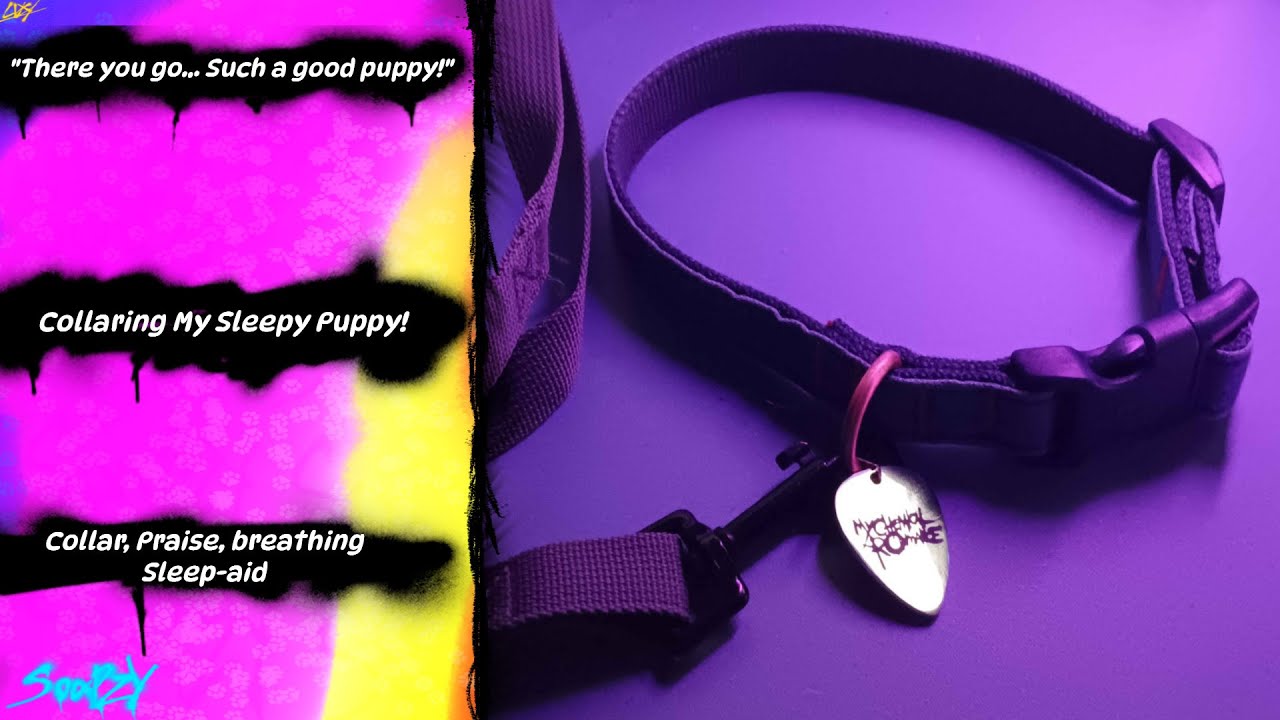 [M4M] Collaring My Sleepy Puppy! [Collar] [Praise] [Breathing] [Sleep-Aid] [Rain Ambience]