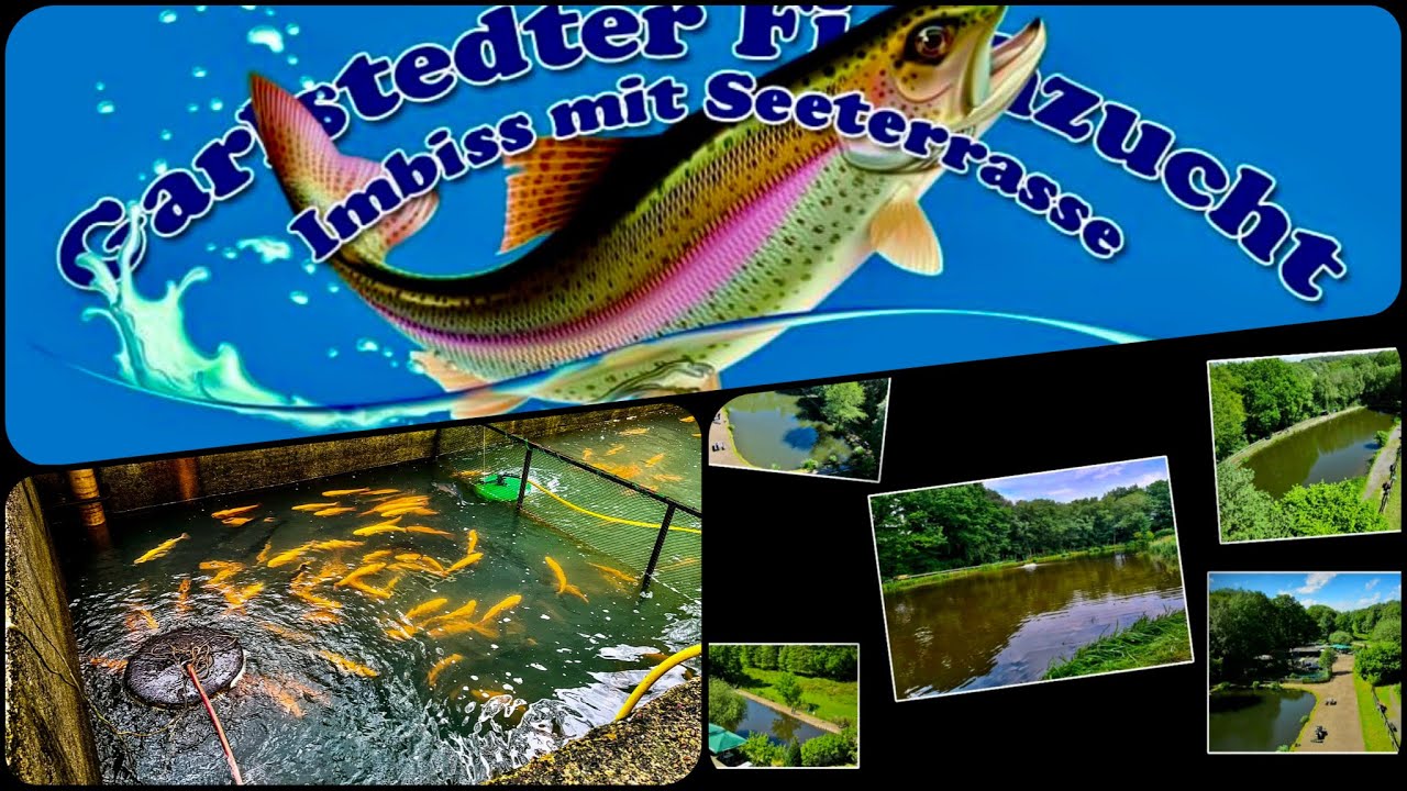 Vorstellung der Garlstedter Fischzucht | Trout Hunters Weser-Ems