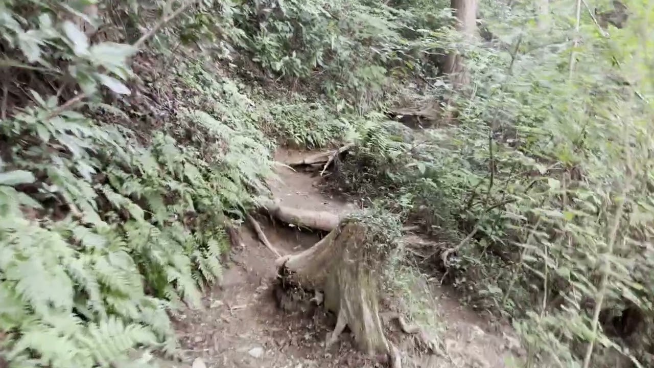 高尾山のその奥へ…景信山へ行ってみよう～！【その⑭さぁ、帰ろう！途中の分岐から富士見台地まで～】