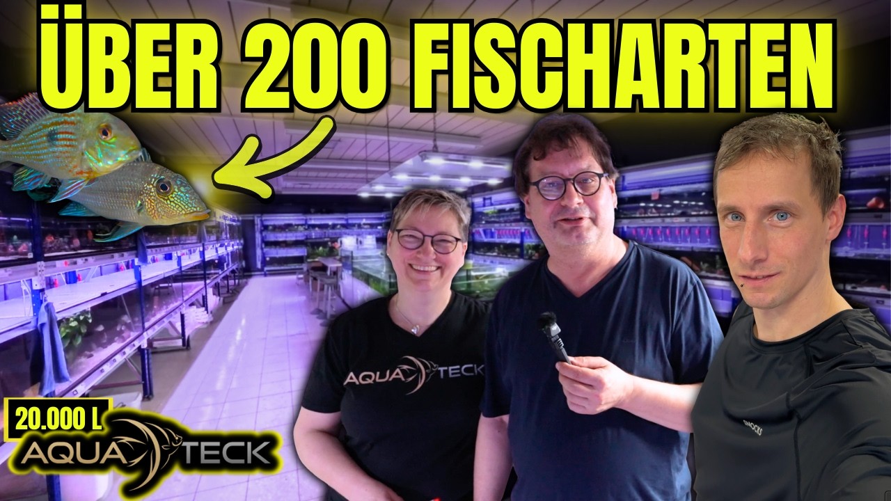 200+ Fischarten bei Aqua Teck – so eine Zierfischanlage siehst du selten!