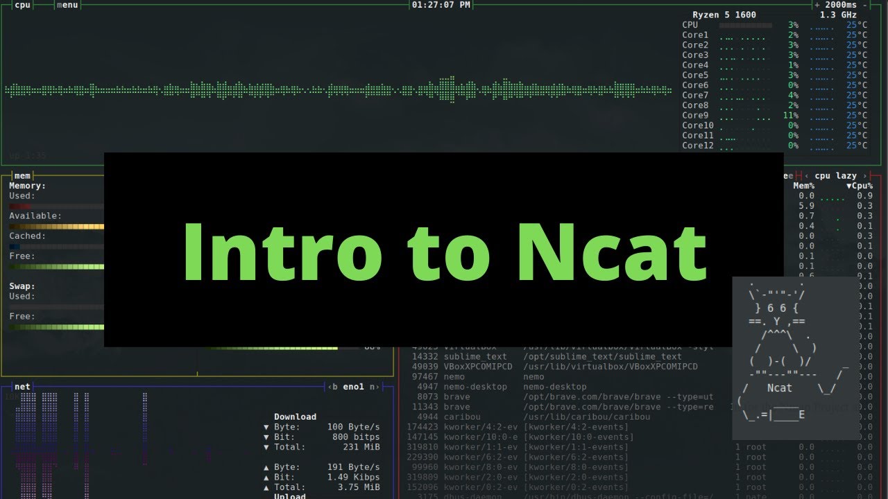 Introduction to Ncat