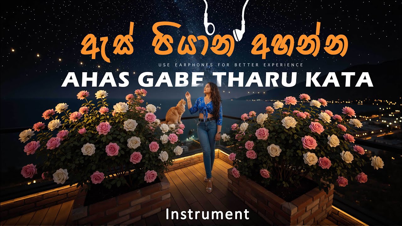 අහස් ගැබේ තරු කැට - Ahas Gabe -   Instrument