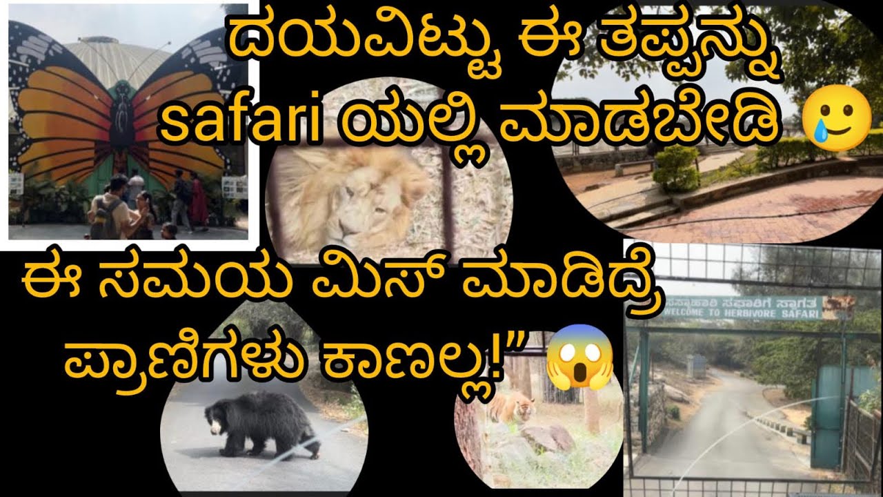 ಬನ್ನೇರುಘಟ್ಟ ಸಫಾರಿ + ಬಟರ್‌ಫ್ಲೈ ಪಾರ್ಕ್ | ಫುಲ್ ಡೇ ಟ್ರಿಪ್ ವ್ಲಾಗ್