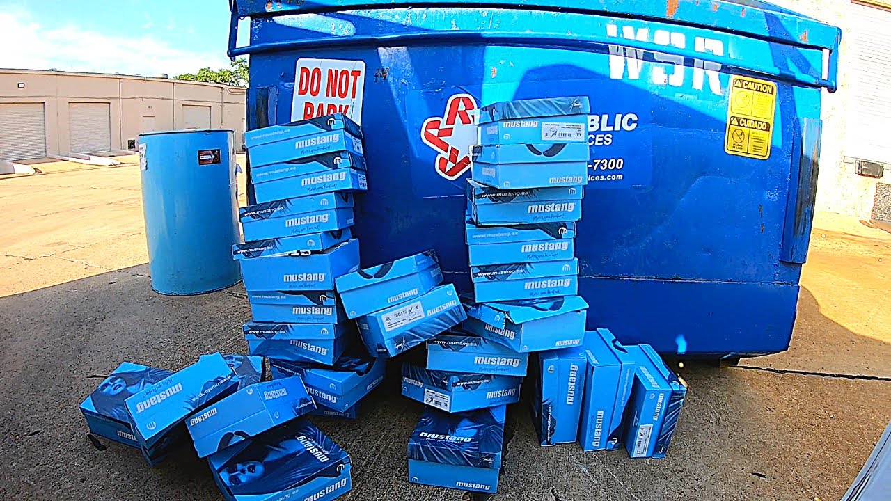 Dumpster Diving 