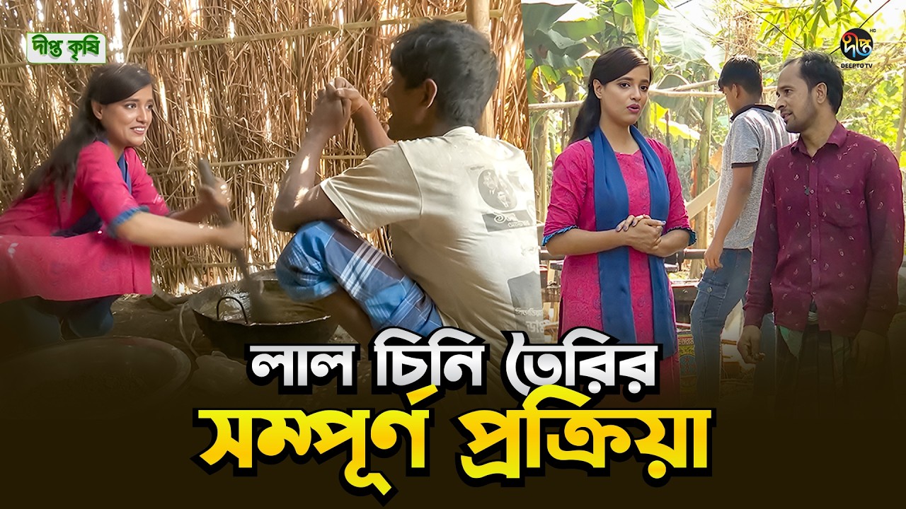Deepto Krishi l লাল চিনি তৈরির সম্পূর্ণ প্রক্রিয়া l Laal Chini l EP 1802 l Real sugar, real process