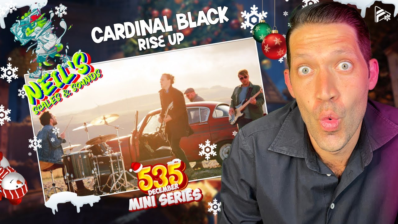 FAVOURITE ONE SO FAR!! Cardinal Black - Rise Up (Reaction) (NSS 535 Series)