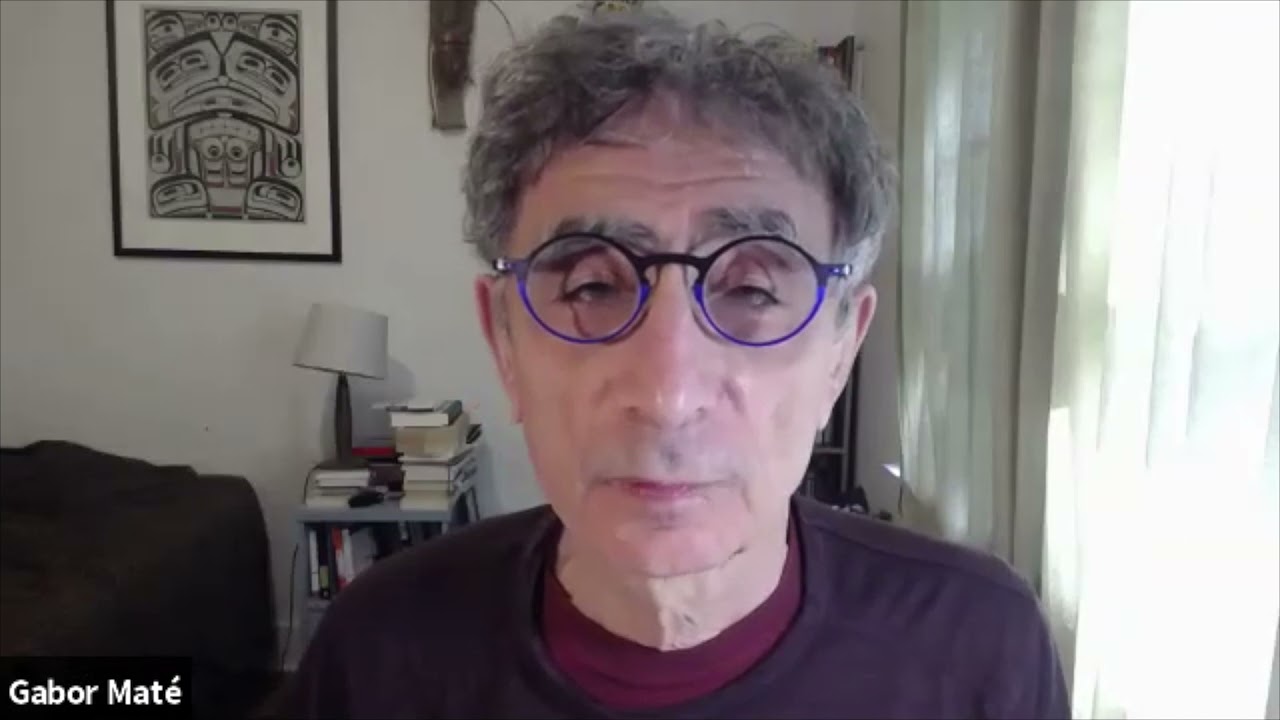 Gabor Maté - On Healing Trauma With Psychedelics