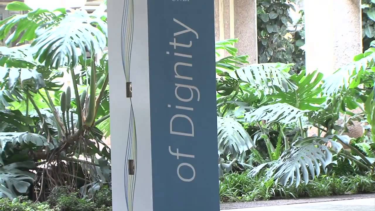 New UN high-level body on environment opens inaugural session in Nairobi