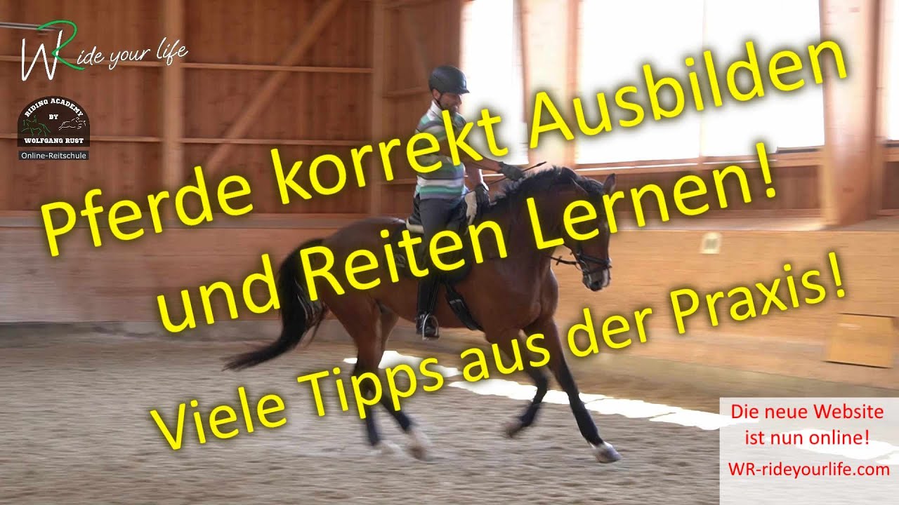 F143 Bedeutung der Reiterhilfen am Pferd genau erkl&auml;rt und gezeigt. Viele Tipps zum reiten lernen.