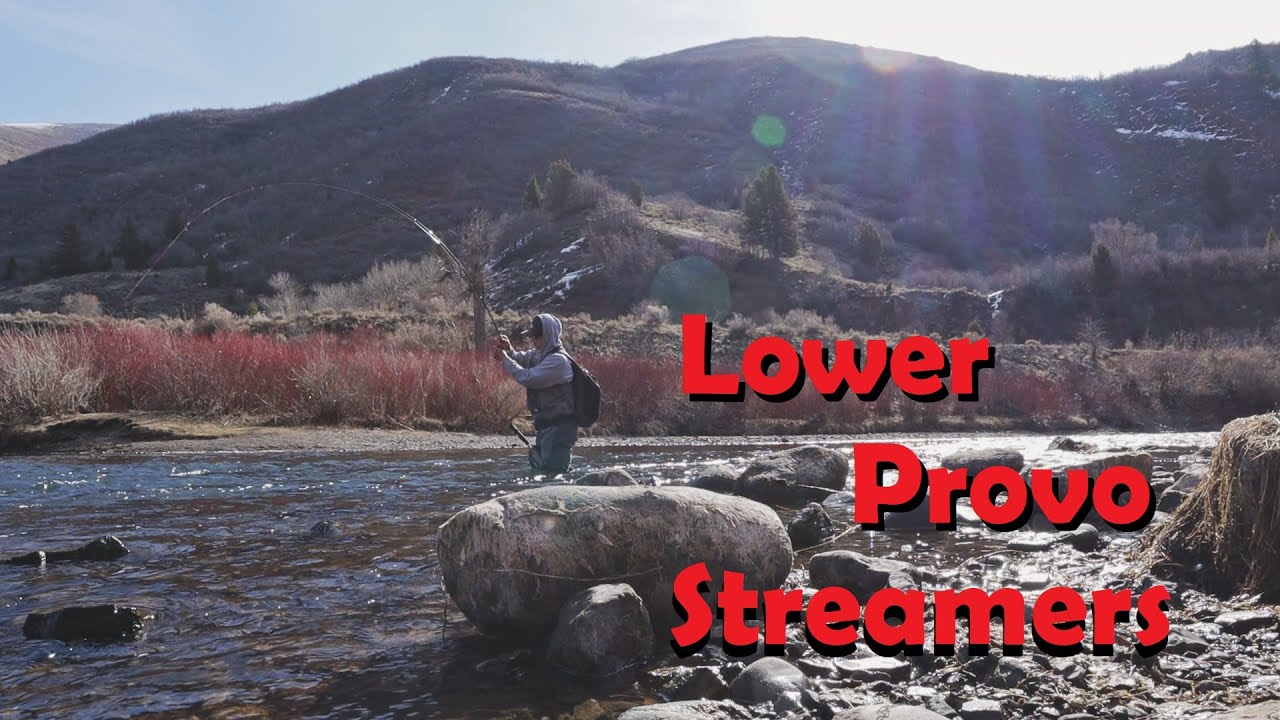 Fishing the Lower Provo BWO Hatch with... JIG STREAMERS?!?!
