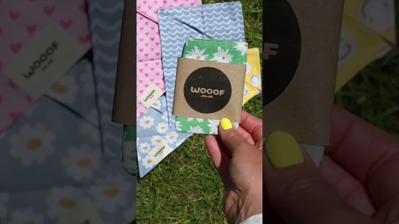 Summer Bandanas for Dogs