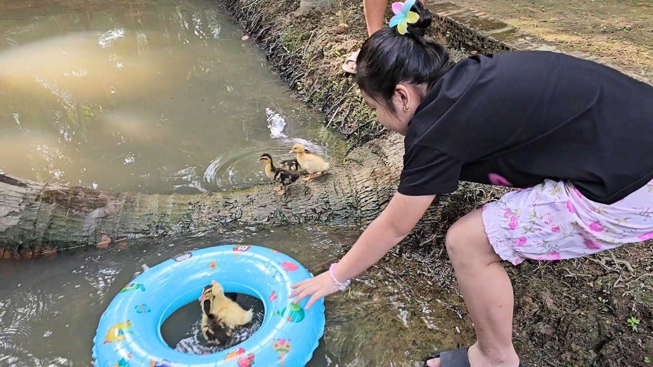 🦆🐣💦 Muội cho vịt con tắm mương 🌊💧💖 Xí Mụi Food 1553