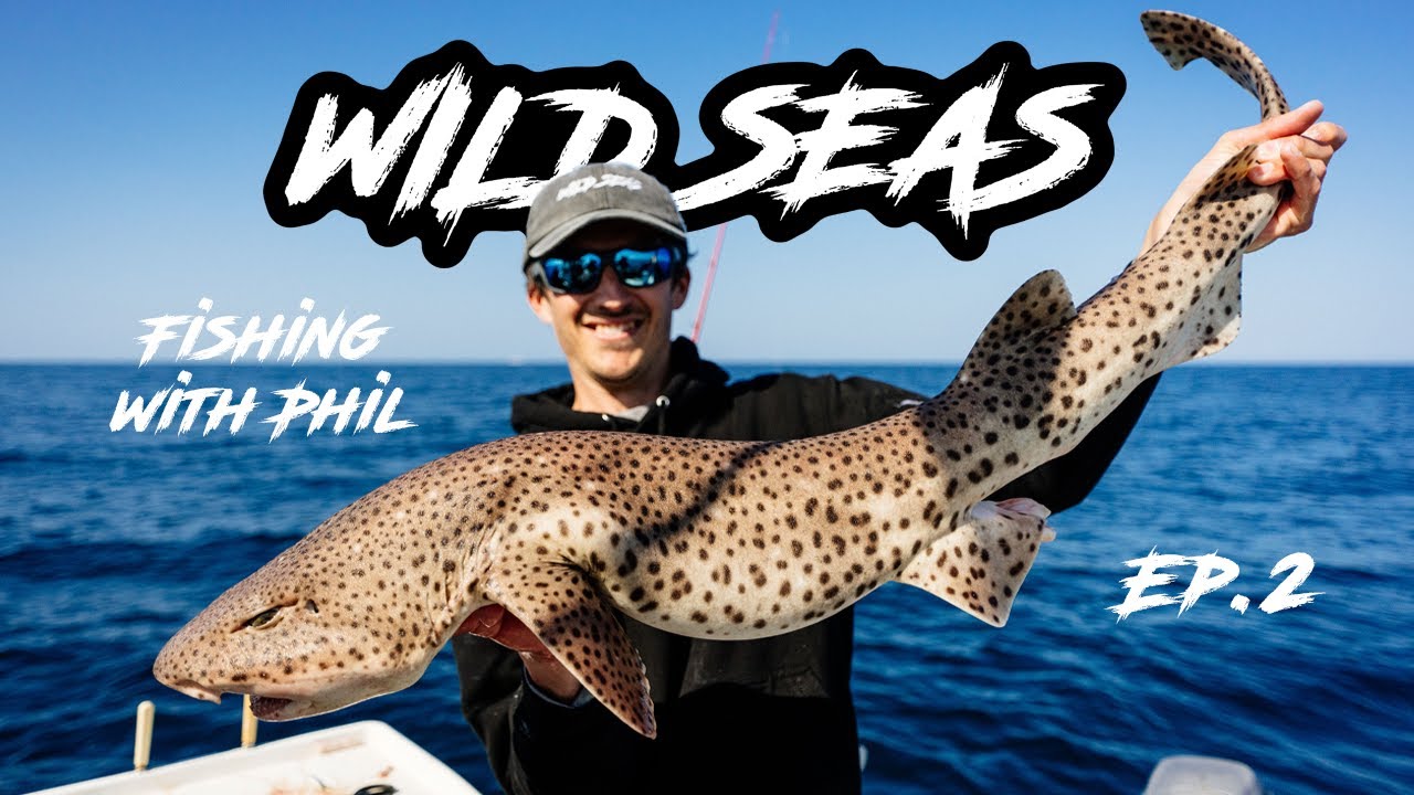 Fishing with Phil: Ep.2 - Catching Big Bull Huss in deep water with bonus Smoothhound!
