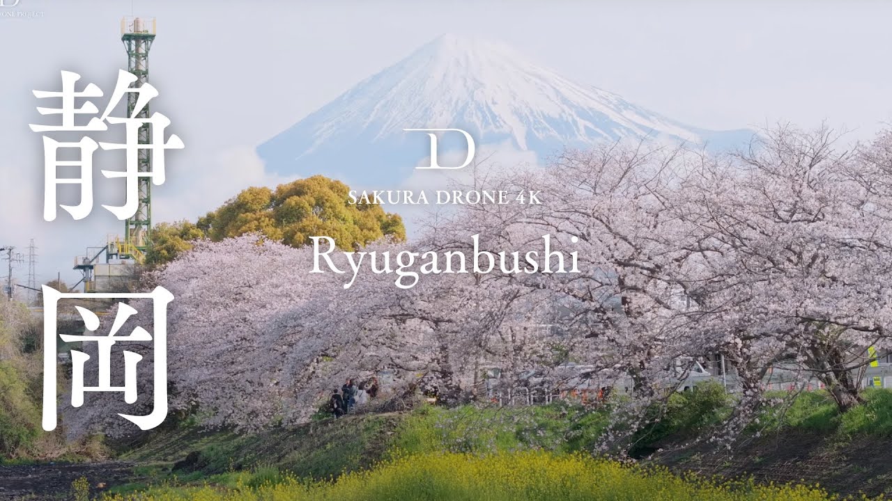 [SAKURA DRONE] ｜潤井川龍巌淵｜Ryuganbuchi with Sakura｜桜ドローンプロジェクト 4K