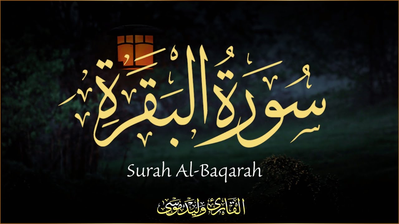 سورة البقرة تلاوة خاشعة تبعث الطمأنينة والراحة النفسية | Surah Al-Baqarah Emotional and Peaceful Q